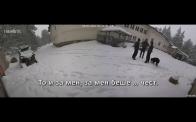 МВР