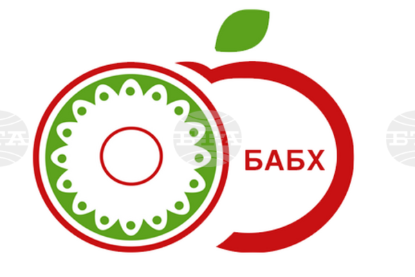 БАБХ спря пратки с десертно грозде от Турция заради пестициди