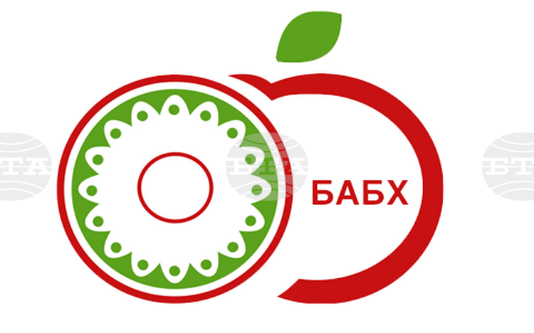 БАБХ спря пратки с десертно грозде от Турция заради пестициди