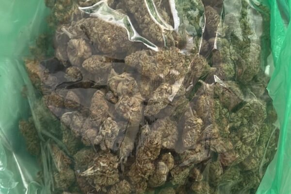 Полиция в Несебър при акция за марихуана в дом и ресторант