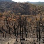Пожар в сухи треви и храсти при новина за огъня край Баритна мина в Стара Загора